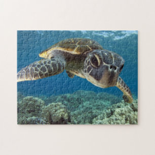 Hawaiian Green Zee Turtle Legpuzzel