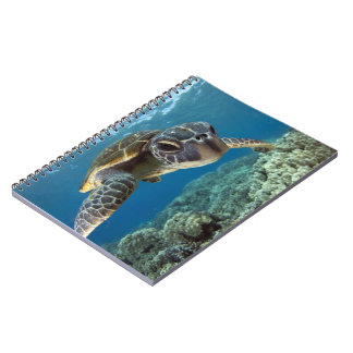 Hawaiian Green Zee Turtle Notitieboek