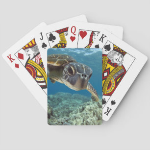 Hawaiian Green Zee Turtle Pokerkaarten