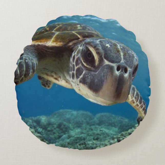 Hawaiian Green Zee Turtle Rond Kussen (Voorkant)