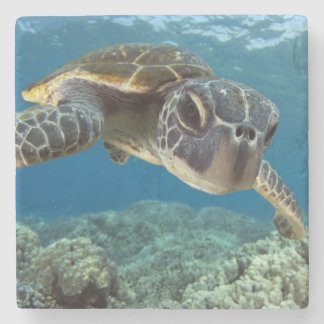 Hawaiian Green Zee Turtle Stenen Onderzetter