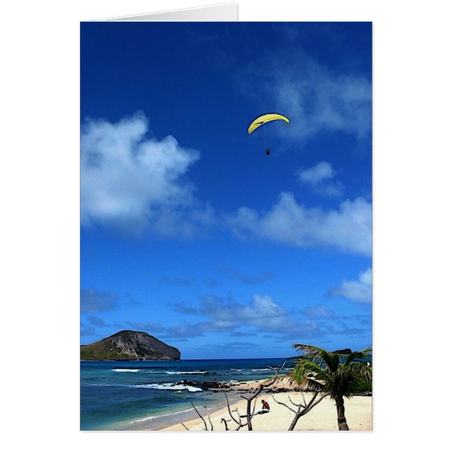 Hawaiian Hang glider (Voorkant)
