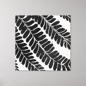 Hawaiian Haole Koa- leucaena leaf Canvas Afdruk (Voorkant)