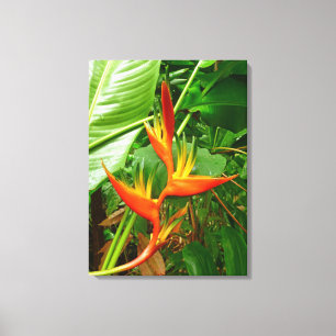 Hawaiian Heliconia Canvas Afdruk