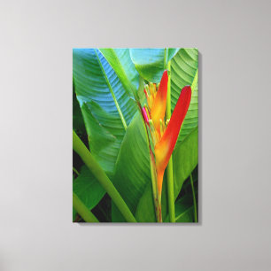 Hawaiian Heliconia Canvas Afdruk