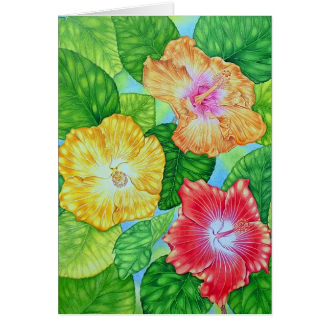 Hawaiian Hibiscus (Voorkant)