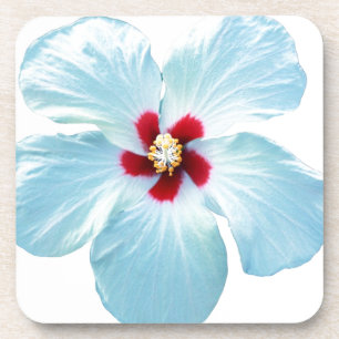 Hawaiian Hibiscus Flower Bier Onderzetter