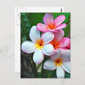 Hawaiian Hibiscus Flower briefkaart (Voorkant / Achterkant)