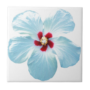 Hawaiian Hibiscus Flower Tegeltje