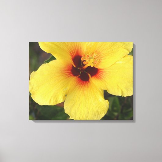 Hawaiian Hibiscus Flower Wrapped Canvas print (Voorkant)