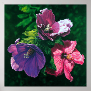 Hawaiian Hibiscus poster print