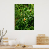 Hawaiian Hiking Trail Poster (Keuken)