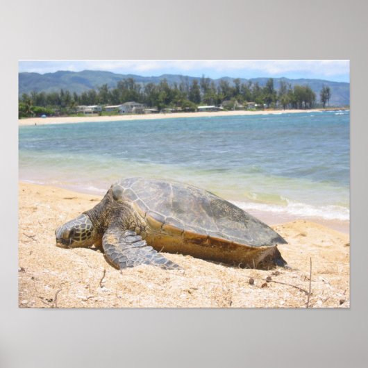 Hawaiian Honu Poster (Voorkant)
