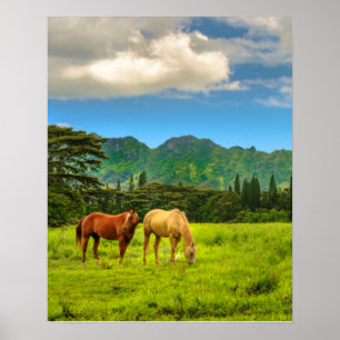 Hawaiian Horses, Hokulei Peak, Kauai, Verticaal Poster