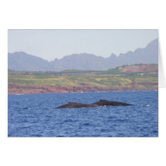 Hawaiian Humpback Whales