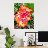 Hawaiian Hybrid Hibiscus Poster (Thuiskantoor)