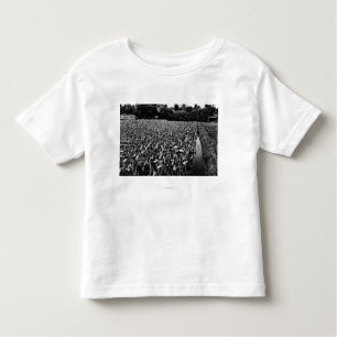 Hawaiian IslandsTaro Field PhotographyHawaii Kinder Shirts
