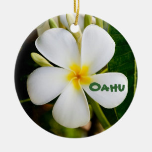 Hawaiian Keepomwille Keramisch Ornament