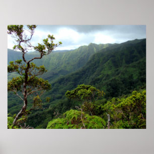Hawaiian Koolau Mountains Poster