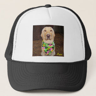 Hawaiian Lab Trucker Pet