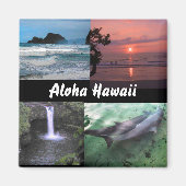 Hawaiian Landscape Collectie Magnet Magneet (Voorkant)
