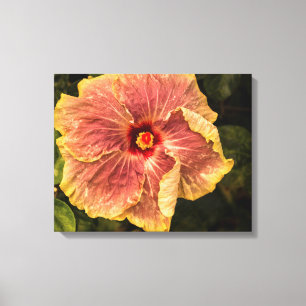 Hawaiian Lila Hibiscus uit Kauai Photography Canvas Afdruk
