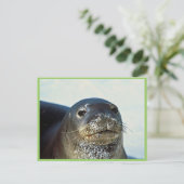 Hawaiian Monk Seal Briefkaart (Staand voorkant)