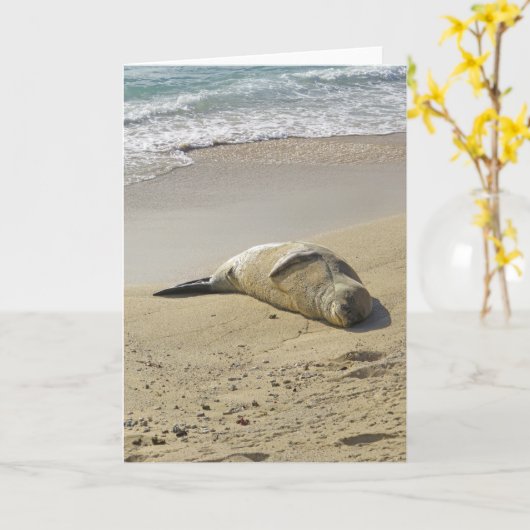 Hawaiian Monk Seal Kaart (Gele Bloem)