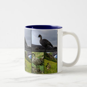 Hawaiian Nene-vogel Tweekleurige Koffiemok