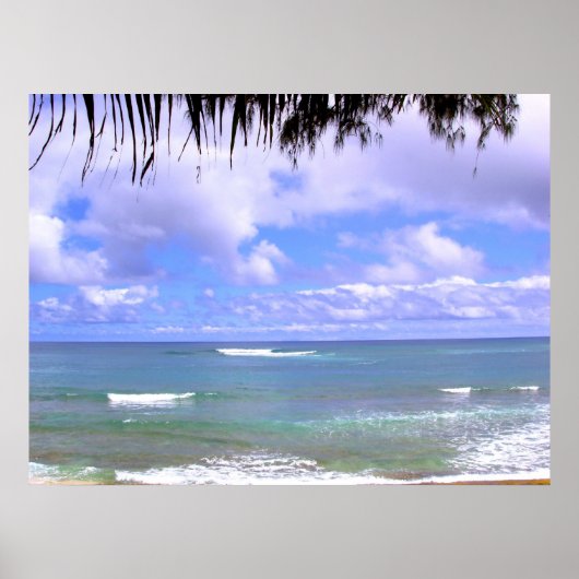 Hawaiian Ocean Poster (Voorkant)