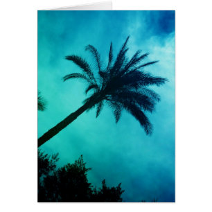 Hawaiian Palm Trees