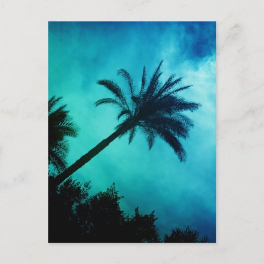 Hawaiian Palm Trees Briefkaart (Voorkant)