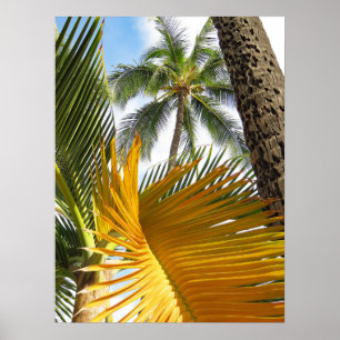 Hawaiian Palms Poster