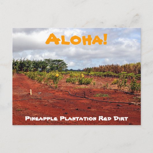Hawaiian Pineapple Plantation Briefkaart (Voorkant)