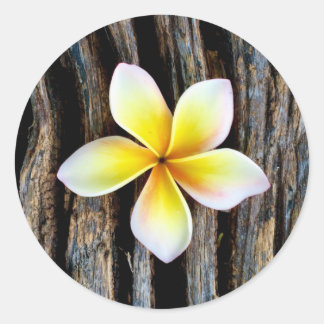 Hawaiian Plumeria bruiloft uitnodiging Stickers