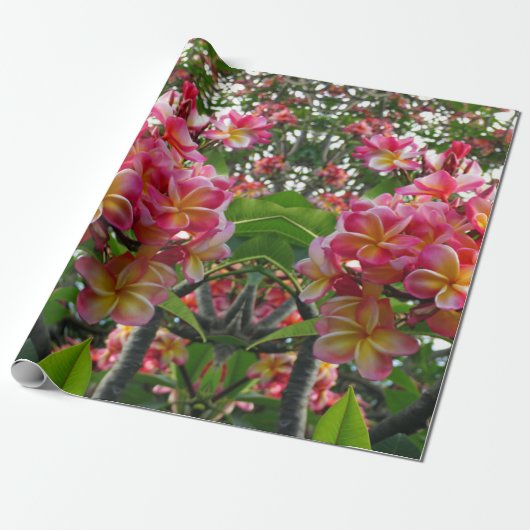 Hawaiian Plumeria Cadeaupapier (Uitgerold)