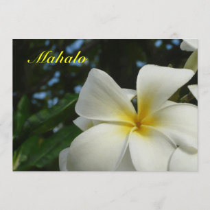 Hawaiian Plumeria Flower Sympathie Hartelijk dank Bedankkaart