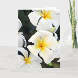 Hawaiian Plumeria Tropical Wenskaart Kaart