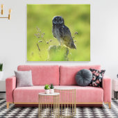 Hawaiian Pueo Canvas Afdruk (Insitu (Woonkamer))