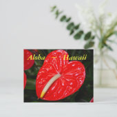 Hawaiian Red Anthurium Flowers Briefkaart (Staand voorkant)