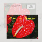 Hawaiian Red Anthurium Flowers Briefkaart (Voorkant / Achterkant)