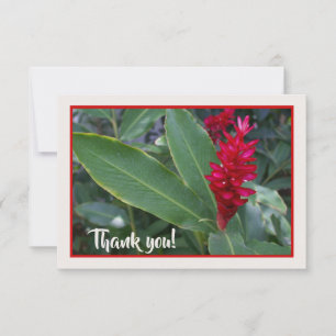 Hawaiian Red Flower Bedankkaart