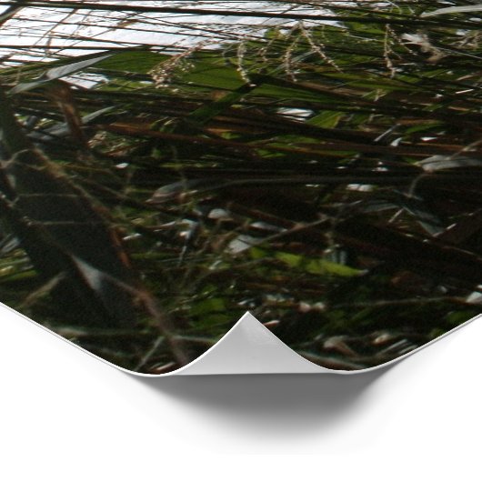 Hawaiian Seascape Poster (Hoek)