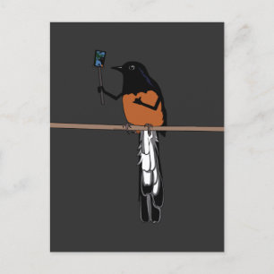 Hawaiian Shama Bird Selfie Briefkaart