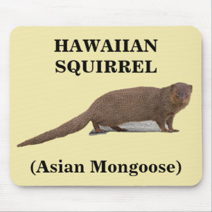Hawaiian Squirrel (Asian Mongoose) Mousepad Muismat