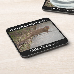 Hawaiian Squirrel (Asian Mongoose) Plastic Onderze Drankjes Onderzetter