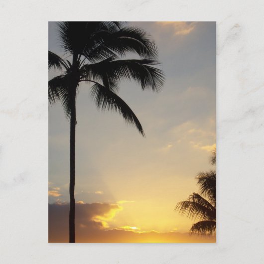 Hawaiian Sunrise Briefkaart (Voorkant)