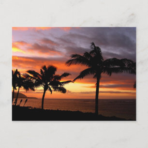 Hawaiian Sunset Briefkaart