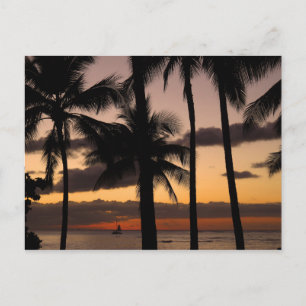 Hawaiian Sunset Briefkaart