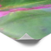 Hawaiian Ti Plant Poster (Hoek)